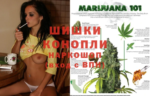 дживик Дмитриев