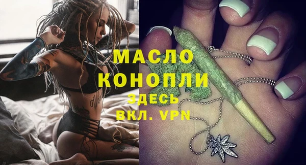 стаф Дмитров