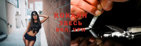 крисы Дмитровск