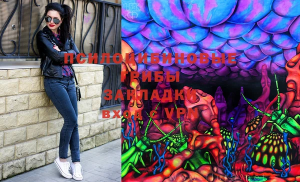 крисы Дмитровск