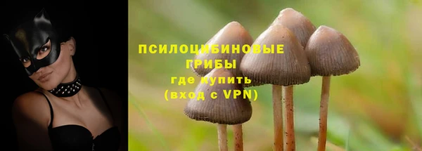 стаф Дмитров