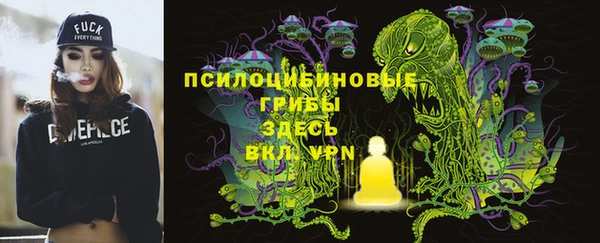 стаф Дмитров