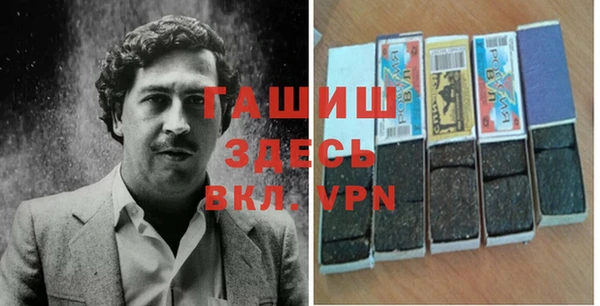 стаф Дмитров