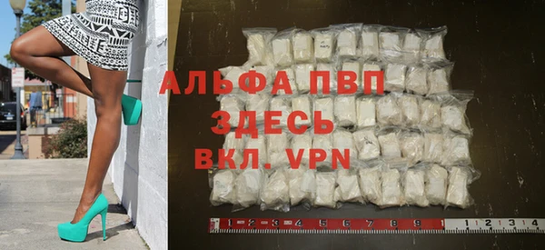 стаф Дмитров