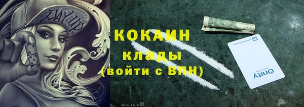 стаф Дмитров