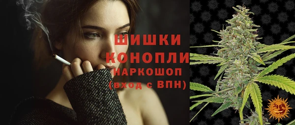 дживик Дмитриев