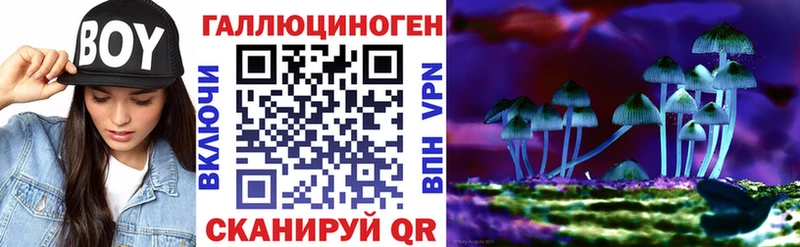 как найти наркотики  Иваново  Галлюциногенные грибы GOLDEN TEACHER 