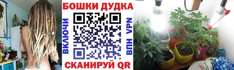 KRAKEN ССЫЛКА  Иваново  Бошки Шишки SATIVA & INDICA 